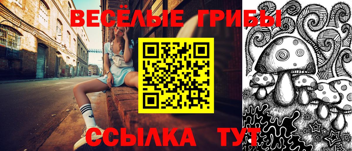 наркошоп  Вход с VPN  Ковров  Галлюциногенные грибы Psilocybe 